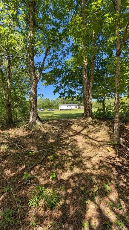 7221 Wayne Rt Ff, Patterson, MO 63956 photo 12