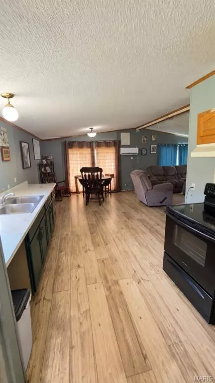 7221 Wayne Rt Ff, Patterson, MO 63956 photo 15