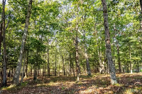 00 Highway 72, Bunker, MO 63629 photo 71