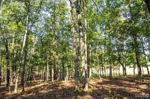 00 Highway 72, Bunker, MO 63629 photo 72