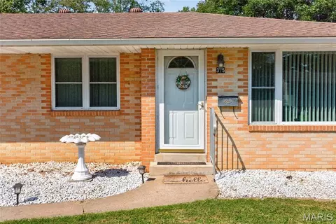 Other - 315 Morgan St, Jackson, MO 63755 photo 1 of 6