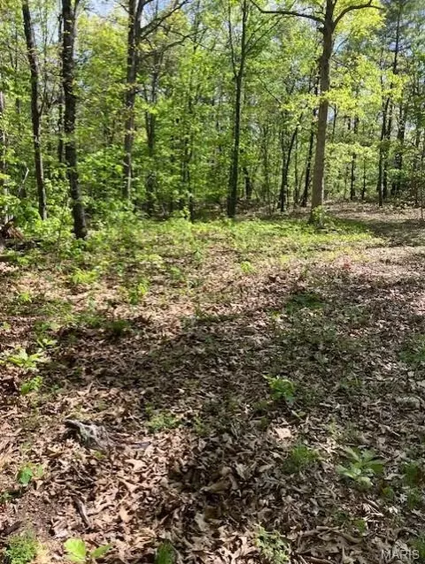 001 County Road 342, Centerville, MO 63633 photo 2