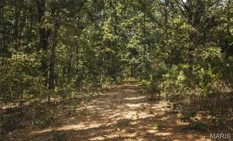 Other - 5409 Highway Yy, Salem, MO 65560 photo 15 of 24