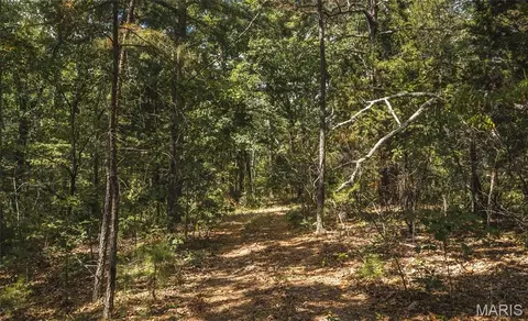 Other - 5409 Highway Yy, Salem, MO 65560 photo 18 of 24