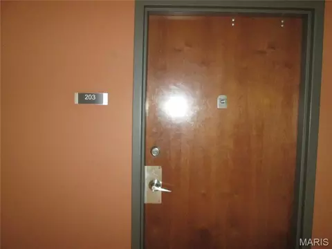 1520 Washington Ave #203, Saint Louis, MO 63103