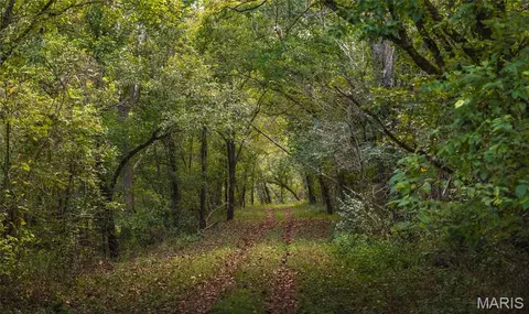 Other - 21805 Torrent Dr, Devils Elbow, MO 65457 photo 5 of 8