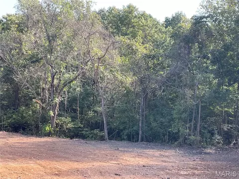 0 Wayne 213, Silva, MO 63964 photo 11