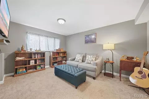 Other - 717 Cypress Dr, Pacific, MO 63069 photo 6 of 7