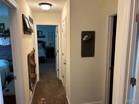 Entry Way - 4 Tinsmith Ct, O'fallon, MO 63366 photo 3 of 3