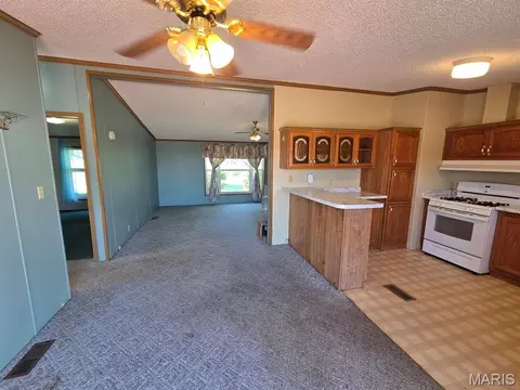 Living - 31718 Casino Dr, Canton, MO 63435 photo 2 of 7