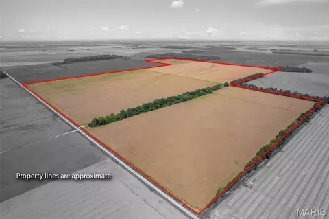000 County Road 507, East Prairie, MO 63845