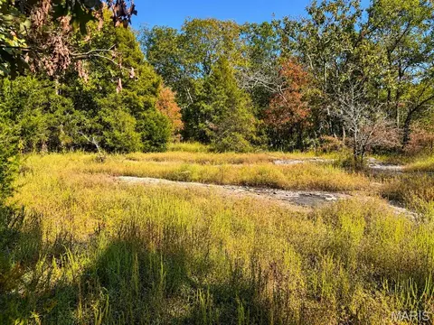Undisclosed, Belleview, MO 63623 photo 5
