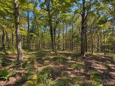 Undisclosed, Belleview, MO 63623 photo 8