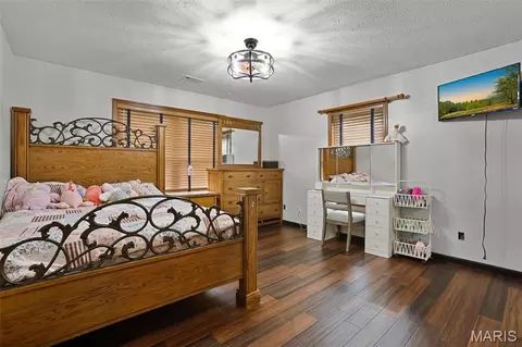 Bedroom - 16519 Conrad Rd, Brighton, IL 62012 photo 4 of 4