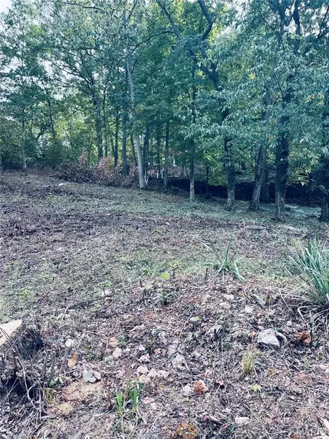 Plat 6 Lot 233 Brown Road, French Village, MO 63036
