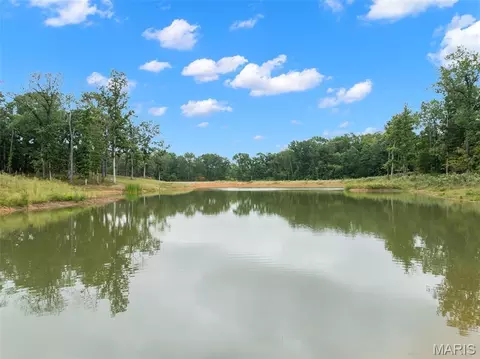 View/Area - 910 Oak Pass Ln, Sullivan, MO 63080 photo 5 of 7