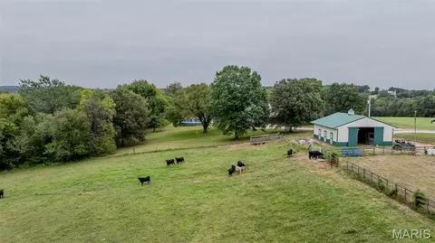 Exterior - 1231 Brown Ln, Saint Clair, MO 63077 photo 6 of 20