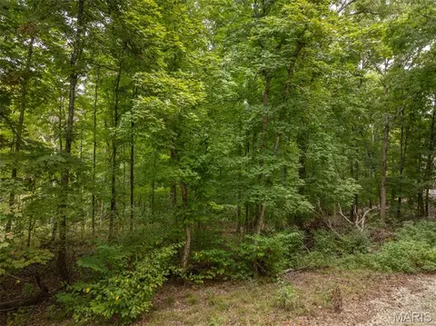 2527 Alpine Trails Dr, Innsbrook, MO 63390 photo 5