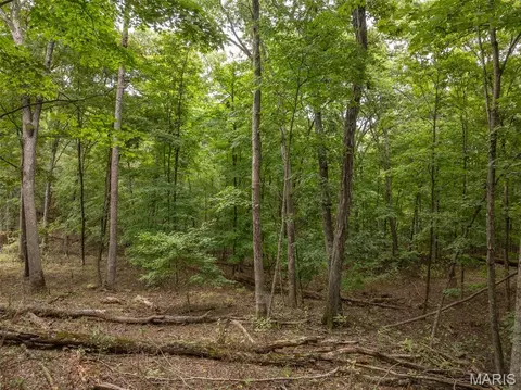 2527 Alpine Trails Dr, Innsbrook, MO 63390 photo 7