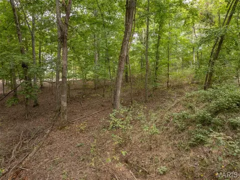 2527 Alpine Trails Dr, Innsbrook, MO 63390 photo 8