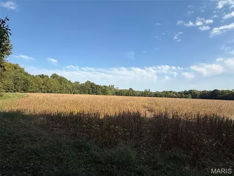 Other - 5324 Mccallister Rd, Gerald, MO 63037 photo 33 of 51
