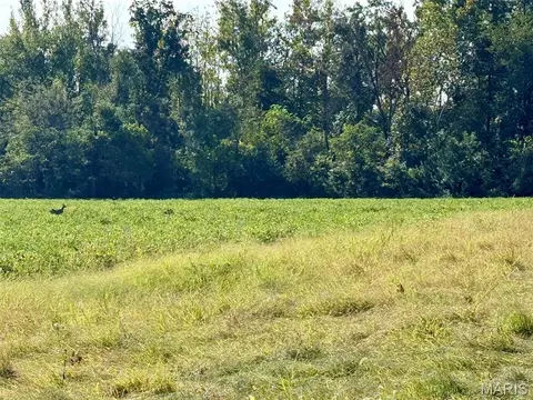 Other - 5324 Mccallister Rd, Gerald, MO 63037 photo 44 of 51
