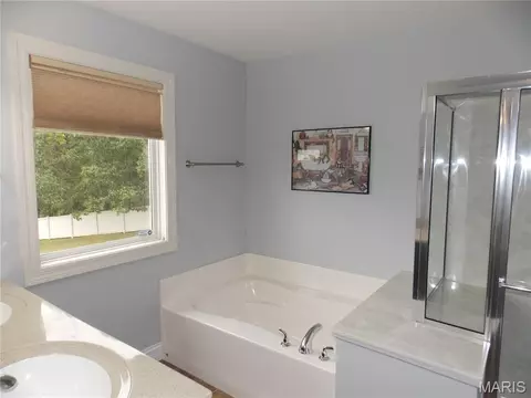 Bath - 384 Arvel Ln, Washington, MO 63090 photo 7 of 10