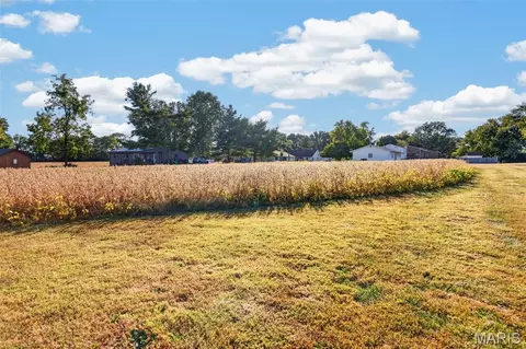 lot1 E Back St, Hecker, IL 62248 photo 7