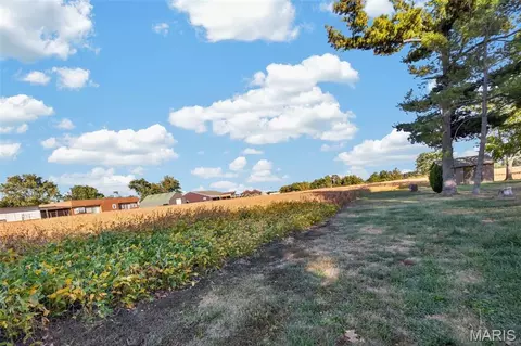 lot1 E Back St, Hecker, IL 62248 photo 9