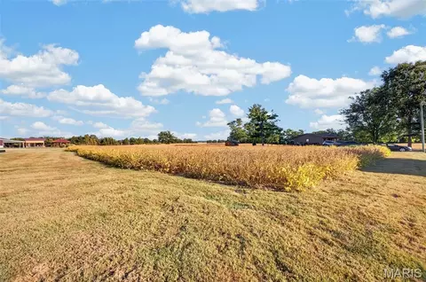 lot2 E Back St, Hecker, IL 62248 photo 11