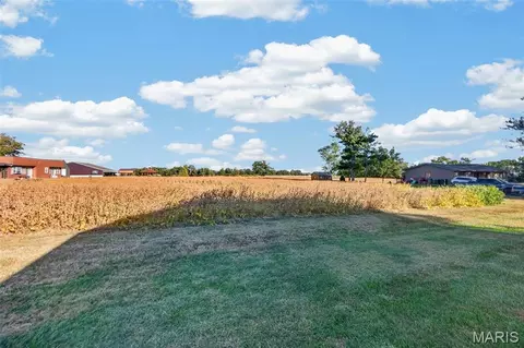 lot2 E Back St, Hecker, IL 62248 photo 10