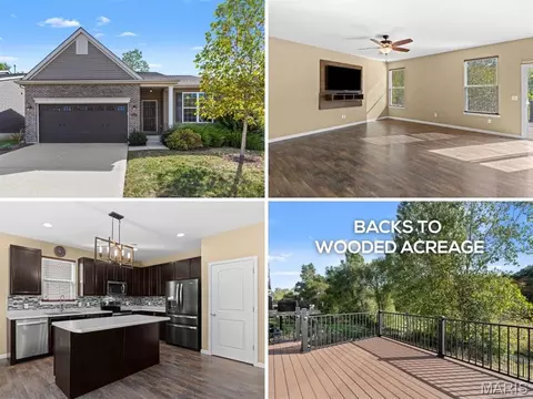 664 Wilmer Meadow Dr, Wentzville, MO 63385