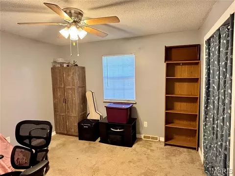 Other - 702 E Silver St, Naylor, MO 63953 photo 3 of 7