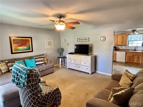 Living - 702 E Silver St, Naylor, MO 63953 photo 1 of 1