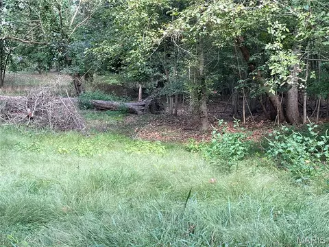 0 River Rd, Piedmont, MO 63957