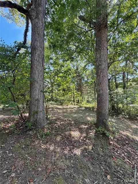 Exterior - 800 E 10th St, Salem, MO 65560 photo 24 of 25