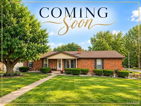 202 Kingsway St, Farmington, MO 63640