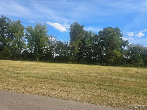 0 Regent Oak Dr, Dexter, MO 63841 photo 4