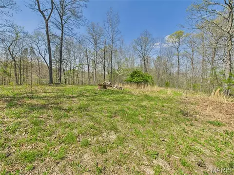 Exterior - 14559 Hunter Ln, Winona, MO 65588 photo 4 of 6