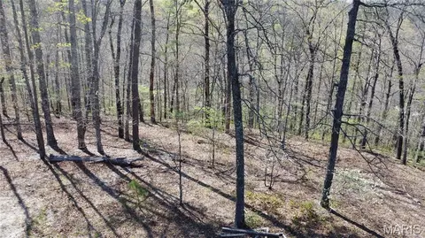 Other - 14559 Hunter Ln, Winona, MO 65588 photo 3 of 19