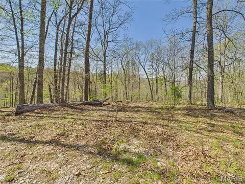 Exterior - 14559 Hunter Ln, Winona, MO 65588 photo 2 of 6