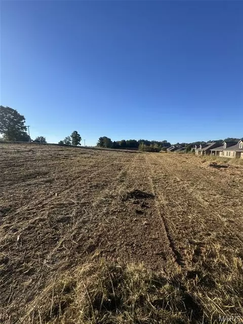 0 Ridge Rd, Jackson, MO 63755 photo 3