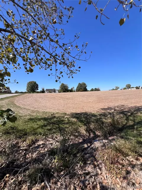 141 Michaelangelo Dr, Moscow Mills, MO 63362