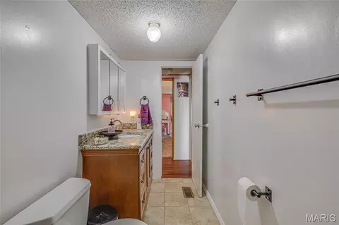 Bath - 15088 Cannon Mines Rd, Cadet, MO 63630 photo 4 of 4