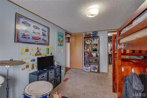 Other - 15088 Cannon Mines Rd, Cadet, MO 63630 photo 7 of 12