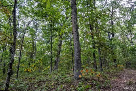 00 Baha Dr, Sullivan, MO 63080 photo 32