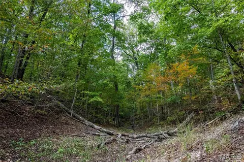 00 Baha Dr, Sullivan, MO 63080 photo 15