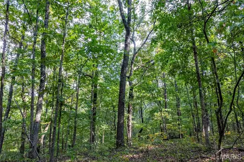 00 Baha Dr, Sullivan, MO 63080 photo 31