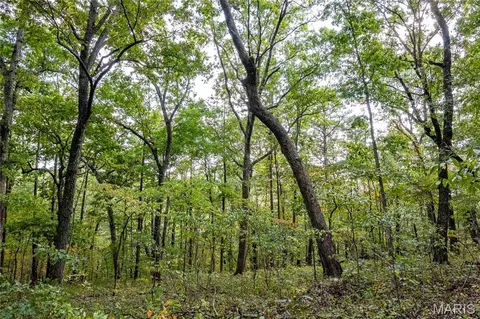 00 Baha Dr, Sullivan, MO 63080 photo 30