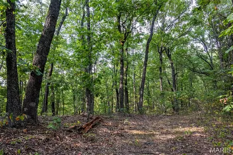 00 Baha Dr, Sullivan, MO 63080 photo 27